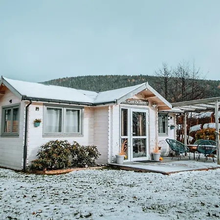 Дом отдыха Mi Casa En Paczyno