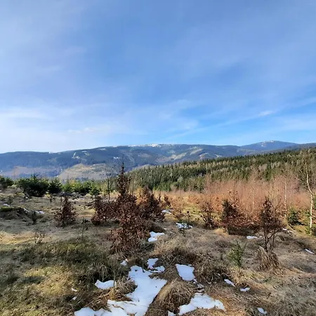 Дом отдыха Mi Casa En Paczyno