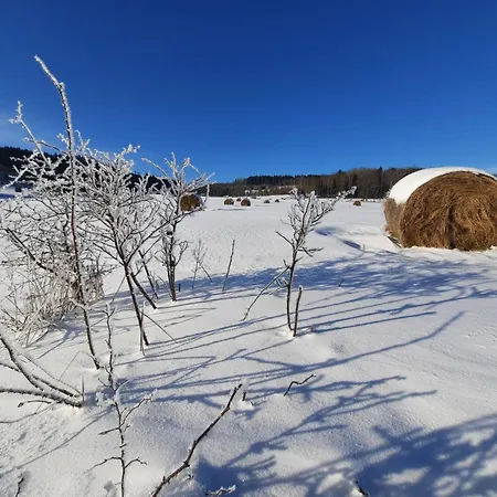 Vakantiehuis Mi Casa En Paczyno Lubawka