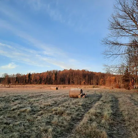 Vakantiehuis Mi Casa En Paczyno Lubawka