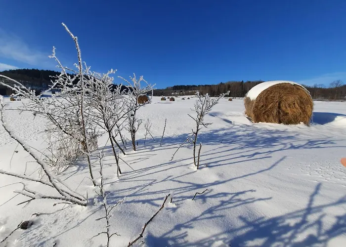 Holiday home Mi Casa En Paczyno Lubawka