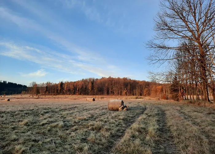 Holiday home Mi Casa En Paczyno Lubawka