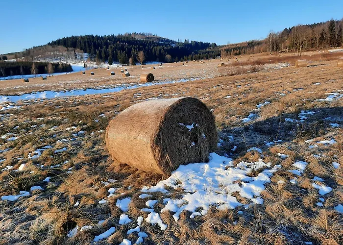 Mi Casa En Paczyno * Lubawka